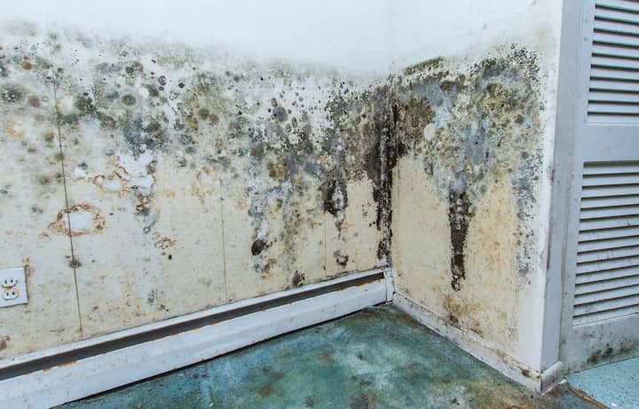 residential mold removal Island, NE